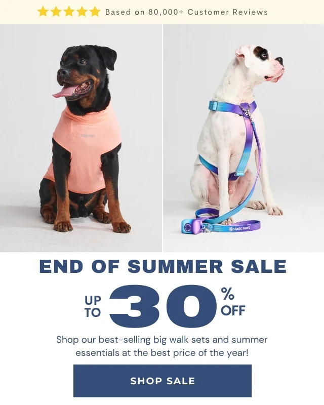US_-_Summer_Sale_Mobile_x800